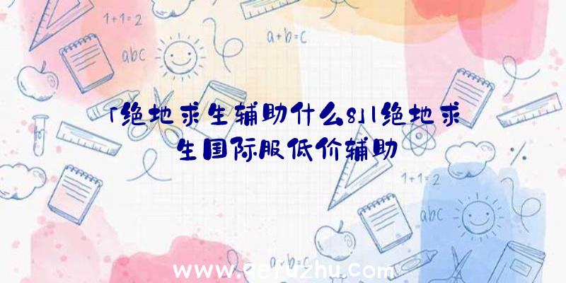 「绝地求生辅助什么8」|绝地求生国际服低价辅助